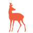 roe deer